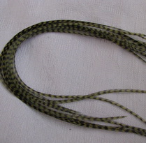 ���� Dry Fly (��� ����� ���) 10 �� ������  ��������� , ������ � 14 - 16